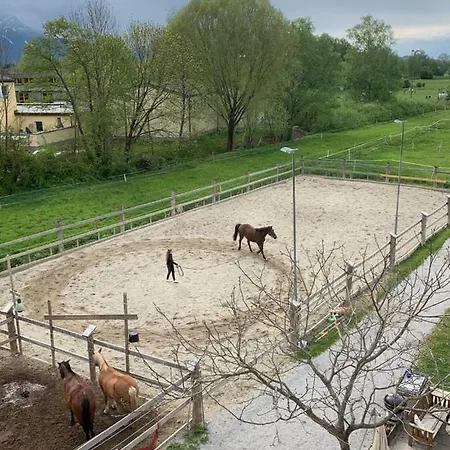 Garconniere Im Grunen Herzen Von Σάλτσμπουργκ